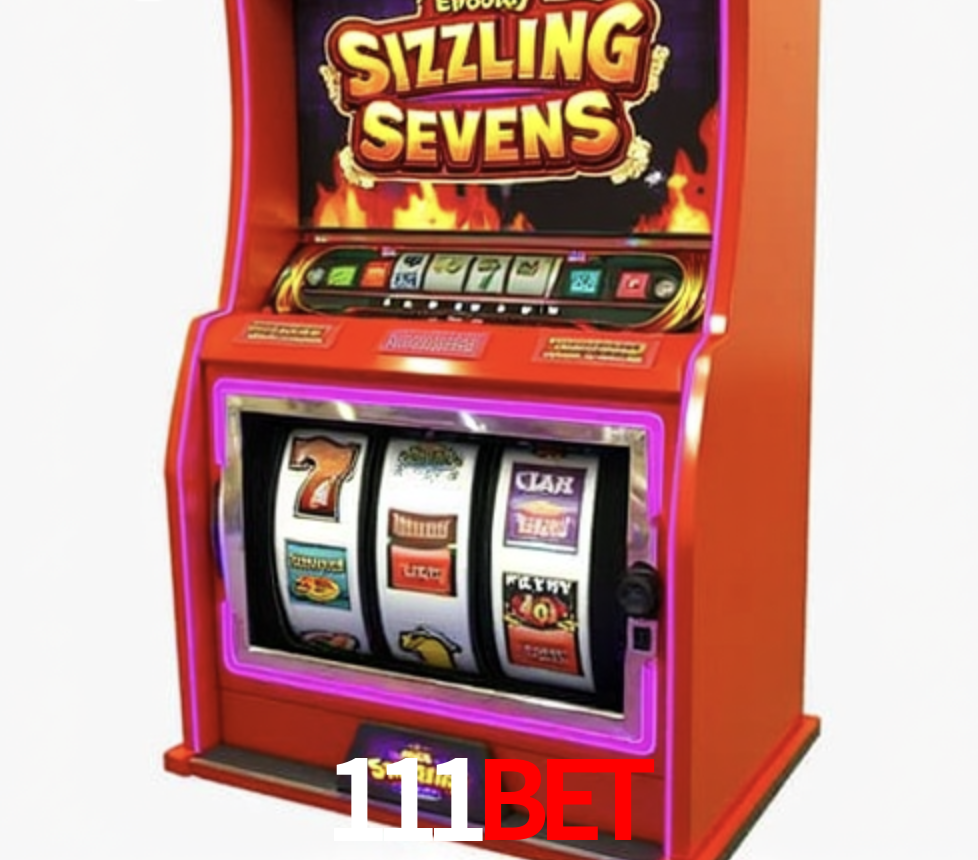 Security Systems 111bet